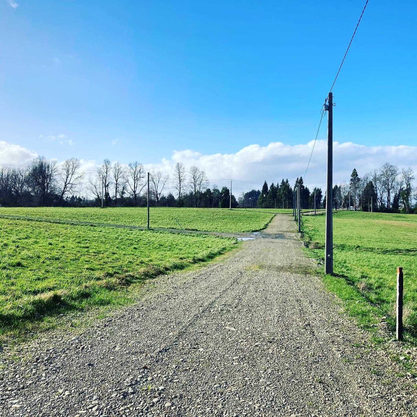 Venta-de-Parcela-en-Valdivia-Pelchuiquin