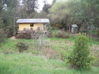 Venta-de-Cabaa-en-Valdivia-salida-sur