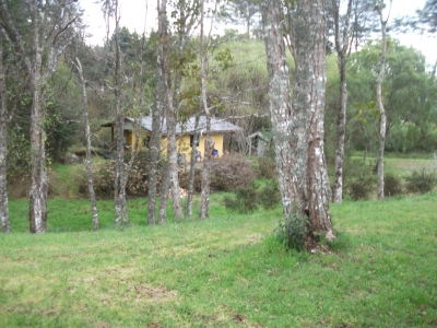 Venta-de-Cabaa-en-Valdivia-salida-sur