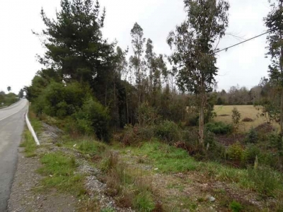 CentroCasas.cl Venta de Terreno en Valdivia, Cayumapu a Orilla de Carretera