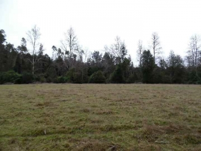 CentroCasas.cl Venta de Terreno en Valdivia, Cayumapu a Orilla de Carretera
