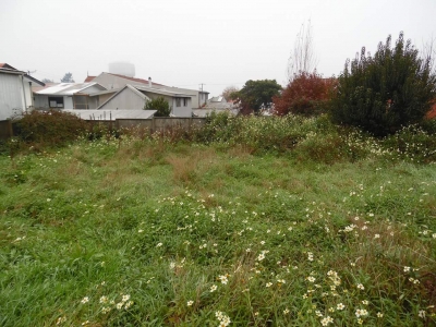 CentroCasas.cl Venta de Terreno en Valdivia, Errazuriz esq. Barros Arana