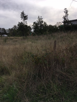 CentroCasas.cl Venta de Parcela en Valdivia, Las Parras