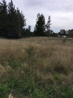 CentroCasas.cl Venta de Parcela en Valdivia, Las Parras