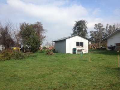 Venta-de-Parcela-con-casa-en-Valdivia-Las-Ánimas