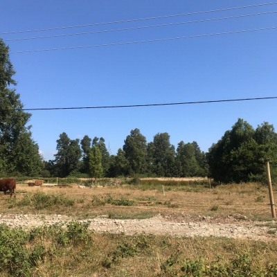 Venta-de-Parcela-en-Traigun-Linguento