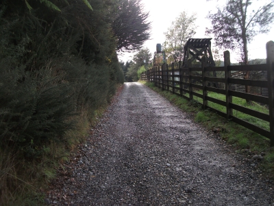 Venta-de-Casa-en-Valdivia-Camino-a-Niebla