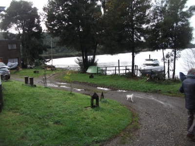 Venta-de-Casa-en-Valdivia-Camino-a-Niebla