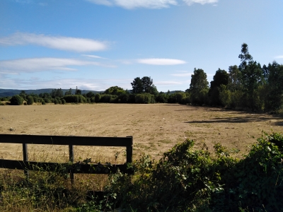 Venta-de-Sitio-en-Valdivia-Salida-sur-Llancahue