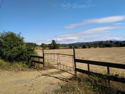 Venta-de-Sitio-en-Valdivia-Salida-sur-Llancahue