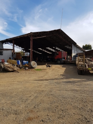 CentroCasas.cl Venta de Terreno Comercial con Galpones en Paillaco, Centro