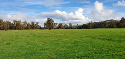 CentroCasas.cl Venta de Campo en Los Lagos, San Pedro