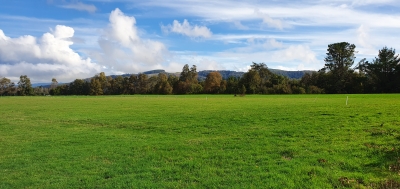 CentroCasas.cl Venta de Campo en Los Lagos, San Pedro