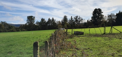 CentroCasas.cl Venta de Campo en Los Lagos, San Pedro