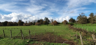 CentroCasas.cl Venta de Campo en Los Lagos, San Pedro