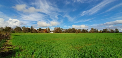 CentroCasas.cl Venta de Campo en Los Lagos, San Pedro