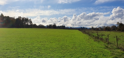 CentroCasas.cl Venta de Campo en Los Lagos, San Pedro