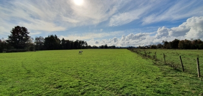 CentroCasas.cl Venta de Campo en Los Lagos, San Pedro