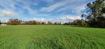 CentroCasas.cl Venta de Campo en Los Lagos, San Pedro