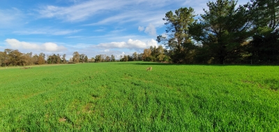 CentroCasas.cl Venta de Campo en Los Lagos, San Pedro