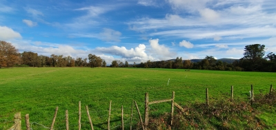 CentroCasas.cl Venta de Campo en Los Lagos, San Pedro