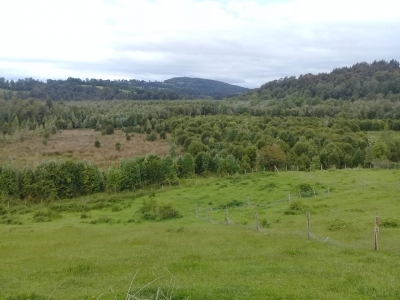 CentroCasas.cl Venta de Campo en Paillaco, Km 12 desde Paillaco