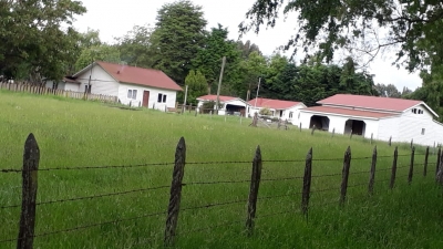 CentroCasas.cl Venta de Campo en Ro Bueno, camino Rio Bueno-Puerto Nuevo
