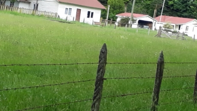 CentroCasas.cl Venta de Campo en Ro Bueno, camino Rio Bueno-Puerto Nuevo