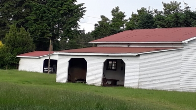CentroCasas.cl Venta de Campo en Ro Bueno, camino Rio Bueno-Puerto Nuevo