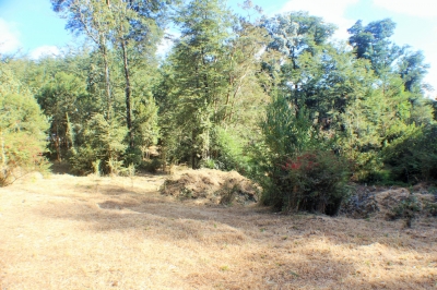 CentroCasas.cl Venta de Local Comercial en Valdivia, Chabelita