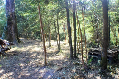 CentroCasas.cl Venta de Local Comercial en Valdivia, Chabelita