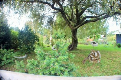 CentroCasas.cl Venta de Parcela en Valdivia, Paillao