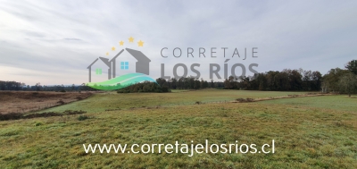 CentroCasas.cl Venta de Campo en Paillaco, Paillaco