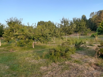 CentroCasas.cl Venta de Parcela con casa en Valdivia, Sector Arique 