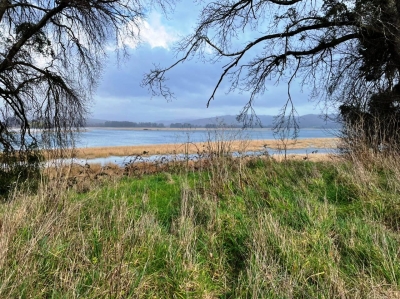 CentroCasas.cl Venta de Sitio en Valdivia, Helena Disselkoen 