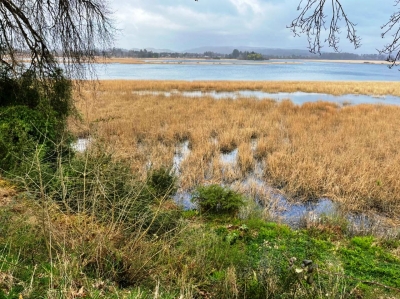 CentroCasas.cl Venta de Sitio en Valdivia, Helena Disselkoen 