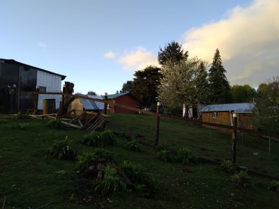 Venta-de-Parcela-con-casa-en-Valdivia-Los-Guindos