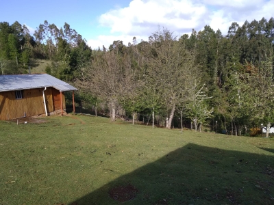 Venta-de-Parcela-con-casa-en-Valdivia-Los-Guindos