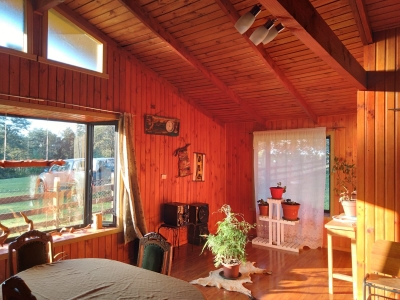 Venta-de-Parcela-con-casa-en-Valdivia-Los-Guindos