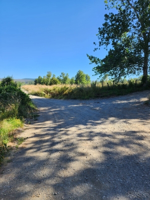 Venta-de-Parcela-en-Valdivia-Cayumapu