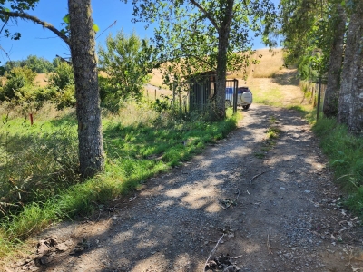 Venta-de-Parcela-en-Valdivia-Cayumapu