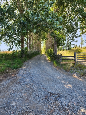 Venta-de-Parcela-en-Valdivia-Cayumapu