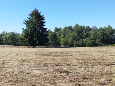 CentroCasas.cl Venta de Parcela en Valdivia, Pelchuquin