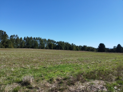 CentroCasas.cl Venta de Parcela en Valdivia, Pelchuquin