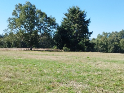 CentroCasas.cl Venta de Parcela en Valdivia, Pelchuquin