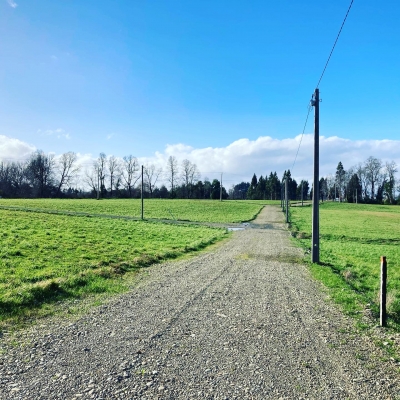CentroCasas.cl Venta de Parcela en Valdivia, Pelchuquin