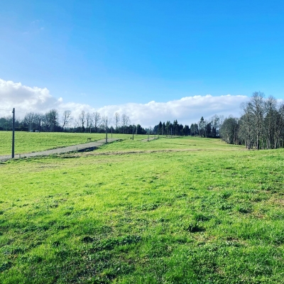 CentroCasas.cl Venta de Parcela en Valdivia, Pelchuquin
