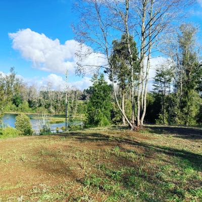 CentroCasas.cl Venta de Parcela en Valdivia, Pelchuquin