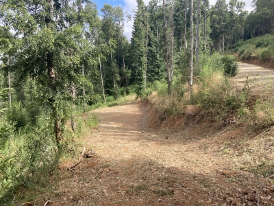 CentroCasas.cl Venta de Parcela en Valdivia, Quitacalzón