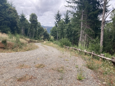 CentroCasas.cl Venta de Parcela en Valdivia, Quitacalzón